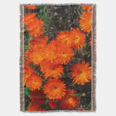 Couverture Afrique du Sud Vert Orange Fleurs Succulentes (devant Vertical)