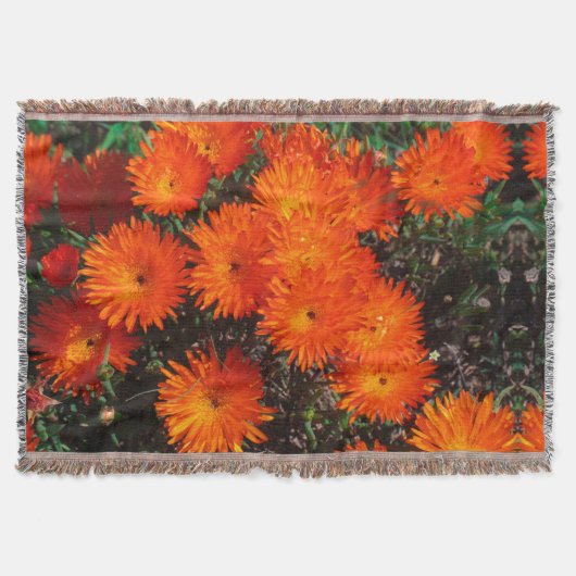 Couverture Afrique du Sud Vert Orange Fleurs Succulentes (Devant)
