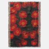 Couverture Afrique du Sud Vert Orange Fleurs Succulentes (devant Vertical)