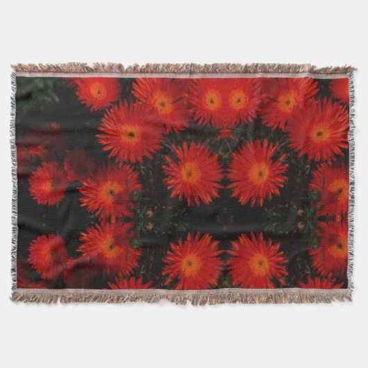 Couverture Afrique du Sud Vert Orange Fleurs Succulentes (Devant)