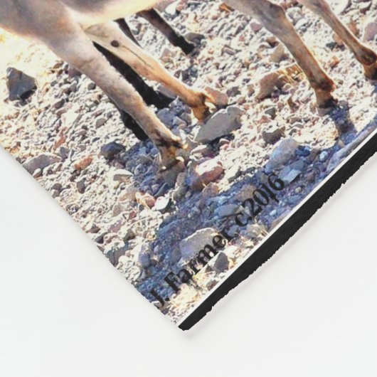 Couverture agréable d'ouatine d'âne de lac (Coin)