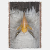 Couverture Aigle de Bald (devant Vertical)