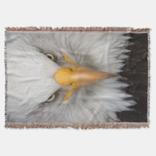 Couverture Aigle de Bald