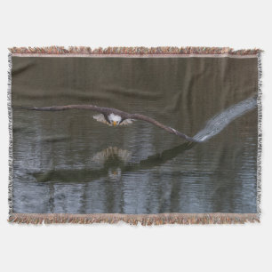 Couverture Aigle de Bald en vol