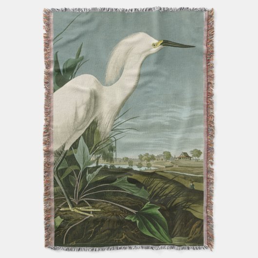 Couverture Aigrette neigeuse d'Audubon oiseau Héron blanc orn (devant Vertical)