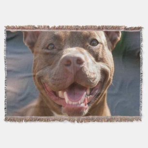 Couverture Ajouter une photo de Pit Bull Personnaliser