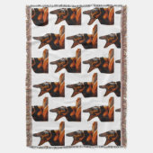 COUVERTURE ALLEMAND SHEPHERD JETTE (devant Vertical)