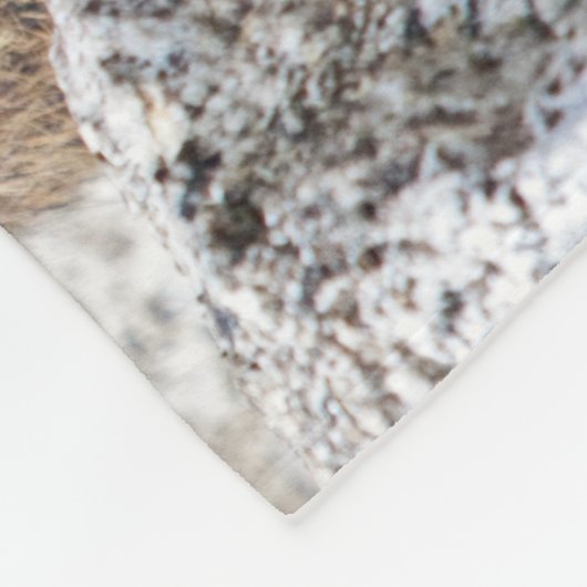 Couverture alpine d'ouatine de Marmot (Coin)