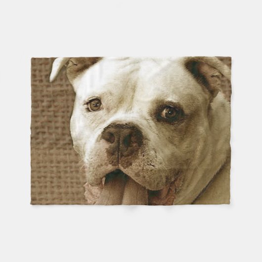 Couverture américaine d'ouatine de bouledogue (Devant (Horizontal))
