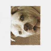 Couverture américaine d'ouatine de bouledogue (Devant)