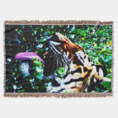 Couverture Amur Tiger tbcna (Devant)