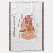 Couverture Anatomie des oreilles humaines (devant Vertical)