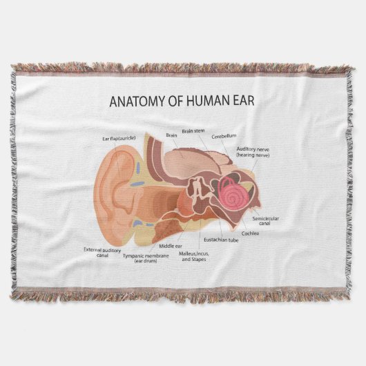 Couverture Anatomie des oreilles humaines (Devant)