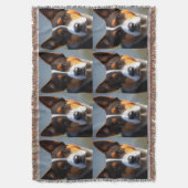 Couverture Andy The Australian Blue Heeler, (devant Vertical)