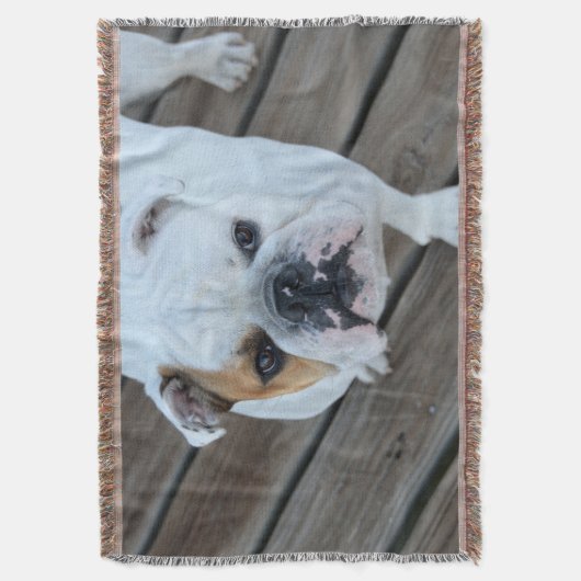 Couverture anglaise de jet de bouledogue (devant Vertical)