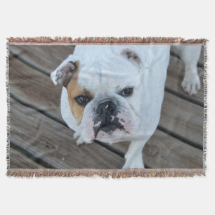 Couverture anglaise de jet de bouledogue