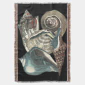 Couverture Anthologie des coquillages (devant Vertical)