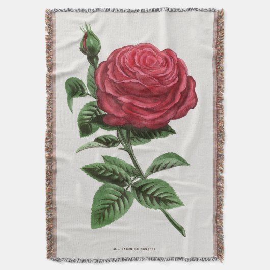 Couverture Antique Rose Lithograph, François-Frédéric Grobon (devant Vertical)