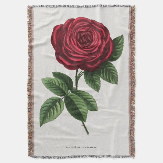 Couverture Antique Rose Lithograph, François-Frédéric Grobon (devant Vertical)