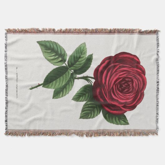 Couverture Antique Rose Lithograph, François-Frédéric Grobon (Devant)