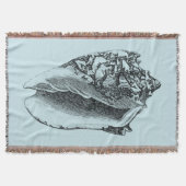 Couverture Aqua Conch Shell (Devant)