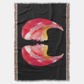 Couverture Aquarelle Geminin (devant Vertical)