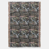 Couverture Aquatique, mais baisée de Desert Wind, Jérusalem (devant Vertical)