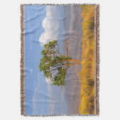 Couverture Arbre (devant Vertical)