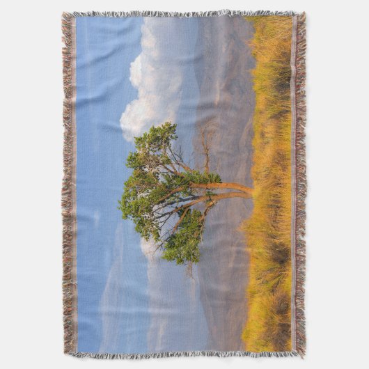 Couverture Arbre (devant Vertical)