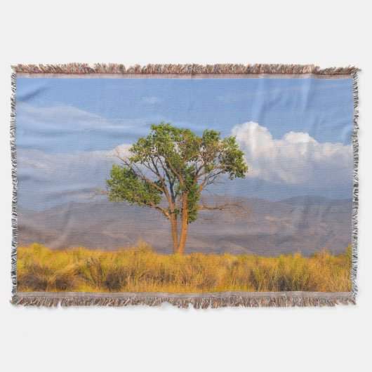 Couverture Arbre (Devant)