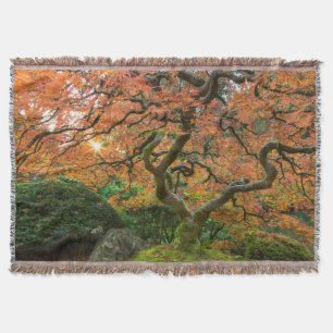 Couverture Arbre à Érable Dans Les Jardins Japonais En Automn
