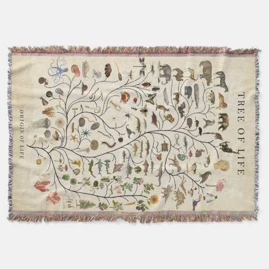 Couverture Arbre de vie (Devant)