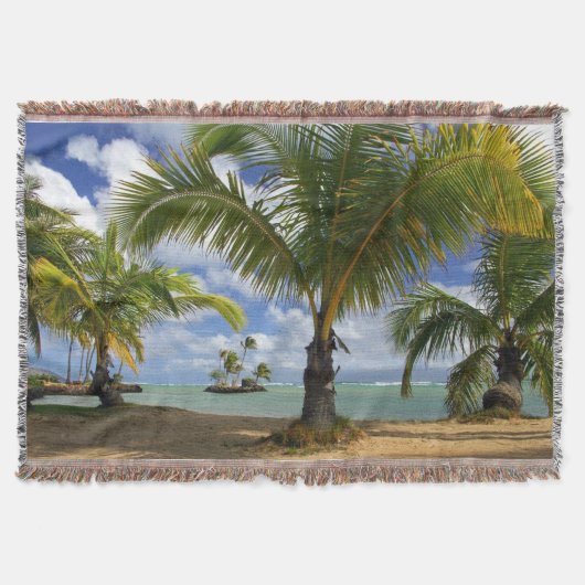 Couverture Arbres tropicaux (Devant)