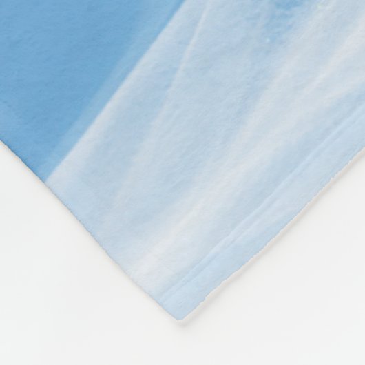 Couverture arctique du monde d'ours blanc (Coin)