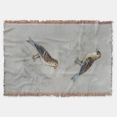 Couverture Argent | Deux oiseaux (Devant)