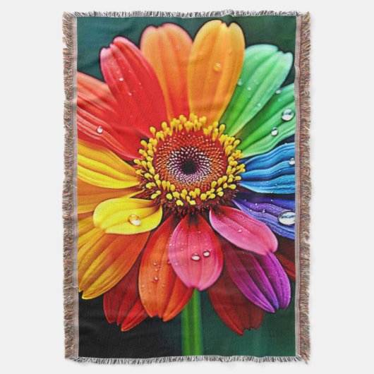 Couverture Art de fleur à pétale arc-en-ciel (devant Vertical)