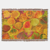 Couverture Aspen Feuilles Collage Solid Medley 1 (Devant)