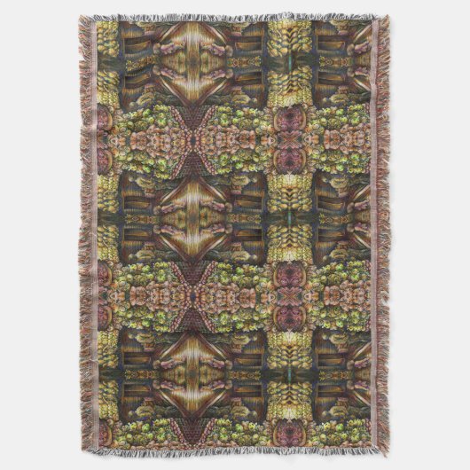 Couverture Au nord du cirque (devant Vertical)