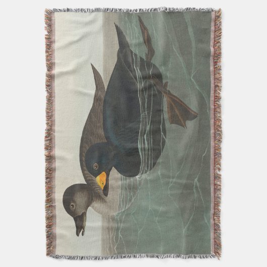 Couverture Audubon American Scoter Duck Classic (devant Vertical)