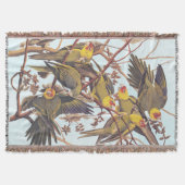 Couverture Audubon Carolina - Éclosion de perruques (Devant)