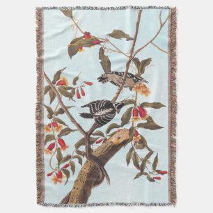 Couverture Audubon Downy Pic Couple aux fleurs