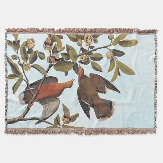 Couverture Audubon Zenaida Dove avec fleurs (Devant)