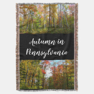 Couverture Automnes Arbres et Ciel bleu Automne Photographie 