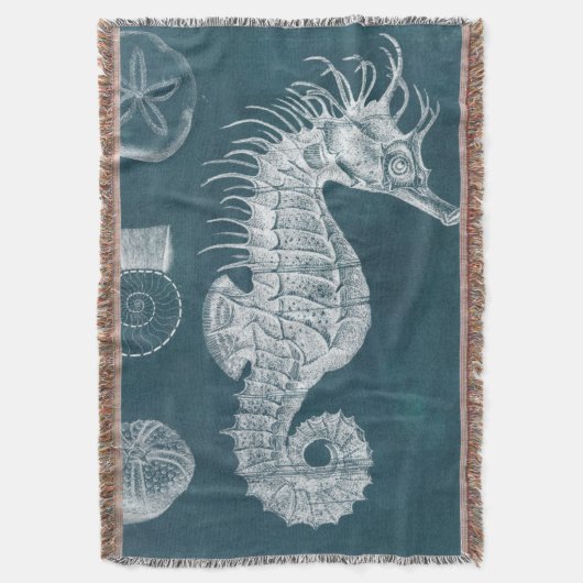 Couverture Azure Seahorse Study I (devant Vertical)