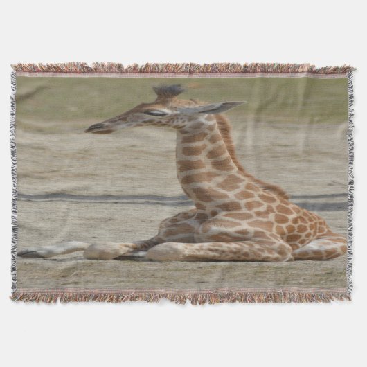 Couverture Baby Giraffe (Devant)
