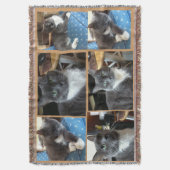 Couverture "Baie d'amoureux de les chats " (devant Vertical)