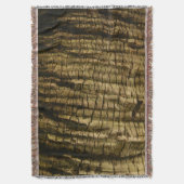 Couverture Barre de palmiers (devant Vertical)