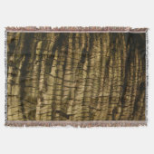 Couverture Barre de palmiers (Devant)