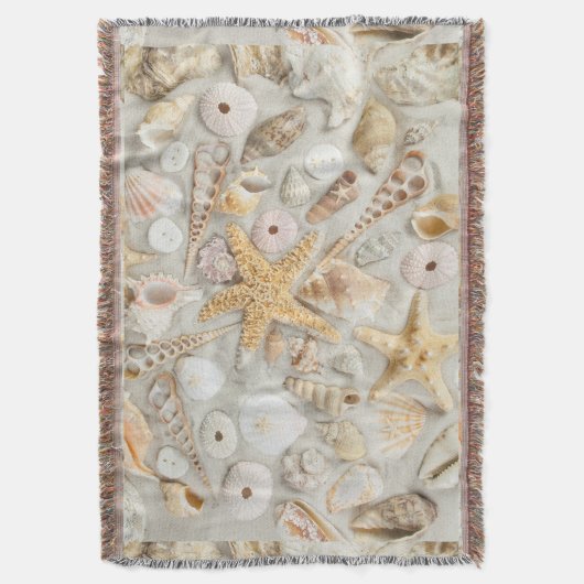 Couverture BeachShells (devant Vertical)