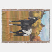 Couverture Beau Appaloosa Noir Quarter Horse Stallion (Devant)